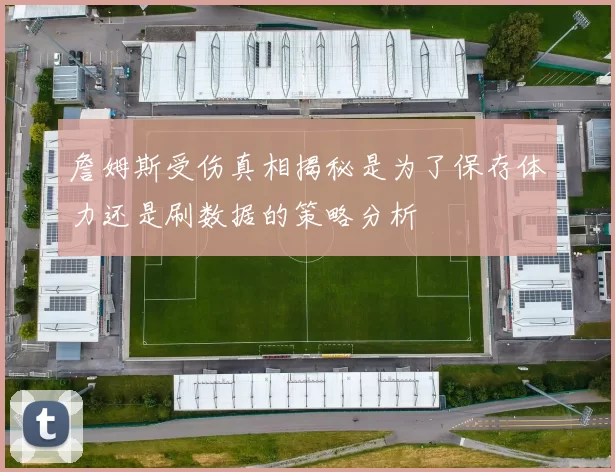 詹姆斯受伤真相揭秘是为了保存体力还是刷数据的策略分析