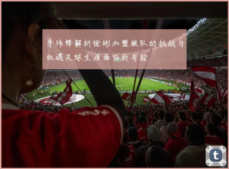 李玮锋解析徐彬加盟狼队的挑战与机遇足球生涯面临新考验